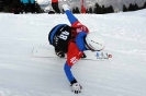 audi_snowboard_0313_48_20110206_1222973935